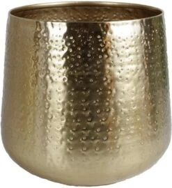 Gina Da - Bloempot - Karakter - Goud - Metaal - 15 Cm Hoog 15 Gina Da - Bloempot - Karakter - Goud - Metaal - 15 Cm Hoog -Tuinbenodigdheden Bevordering 1098x1200 1