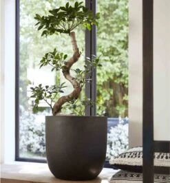 Capi Europe - Bloempot Bol Smooth NL - 35x34 - Zwart - Voor Binnen En Buiten - KBL932 -Tuinbenodigdheden Bevordering 1116x1200 2