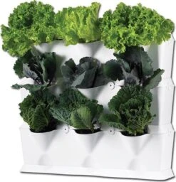 Minigarden Vertical Verticale Tuin - Wit 13 Minigarden Vertical Verticale Tuin - Wit -Tuinbenodigdheden Bevordering 1157x1200 2