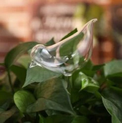 Waterdruppelaar Planten - Vorm Vogel - Set Van 3 Kunststof Druppelaars - 25cm Lengte - Genoeg Water Tijdens Je Vakantie 7 Waterdruppelaar Planten - Vorm Vogel - Set Van 3 Kunststof Druppelaars - 25cm Lengte - Genoeg Water Tijdens Je Vakantie -Tuinbenodigdheden Bevordering 1190x1200 4