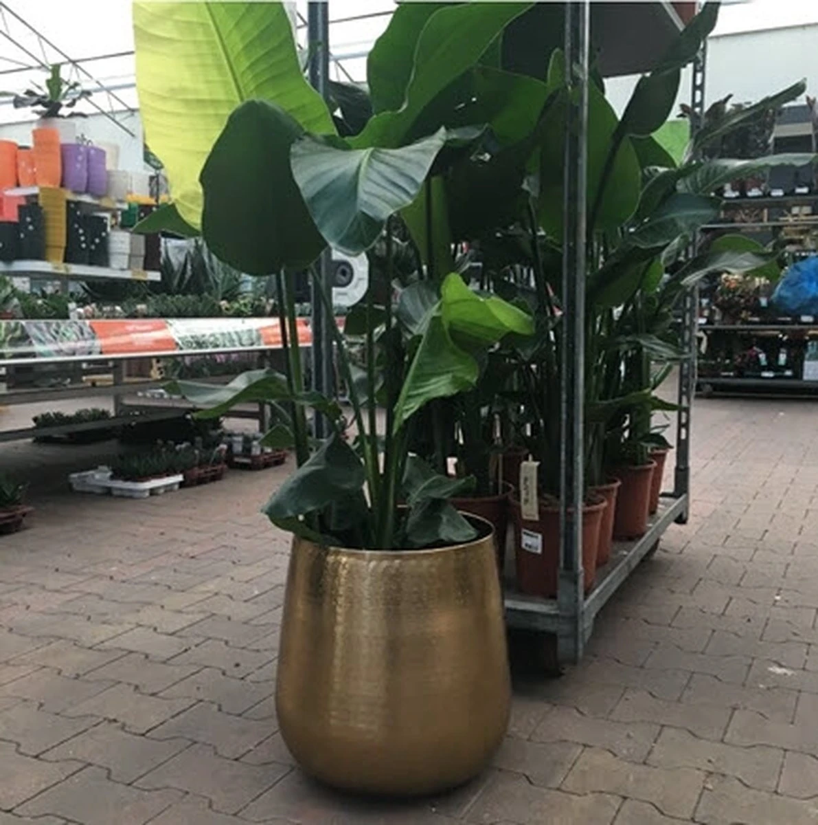 Merkloos Bloempot Karakter Goud - L 6 Merkloos Bloempot Karakter Goud - L - Afbeelding 4