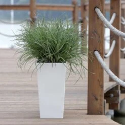 Prosperplast Kunststof Urbi Bloempot/plantenpot Met Binnenpot Wit 32 X 32 X 61 Cm - 21/49 Liter - Hoge Vierkante Bloempotten 18 Prosperplast Kunststof Urbi Bloempot/plantenpot Met Binnenpot Wit 32 X 32 X 61 Cm - 21/49 Liter - Hoge Vierkante Bloempotten -Tuinbenodigdheden Bevordering 1194x1200 4