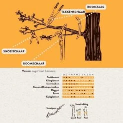 Hendrik Jan - Takkenschaar - Aluminium - Aambeeld - 62 Cm 10 Hendrik Jan - Takkenschaar - Aluminium - Aambeeld - 62 Cm -Tuinbenodigdheden Bevordering 1198x1200
