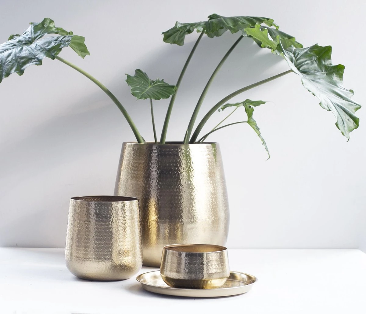 Gina Da - Bloempot - Karakter - Goud - Metaal - 15 Cm Hoog 7 Gina Da - Bloempot - Karakter - Goud - Metaal - 15 Cm Hoog - Afbeelding 5