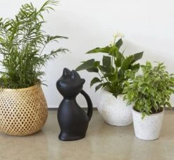 Balvi Meow! Kat Gieter - Zwart -Tuinbenodigdheden Bevordering 1200x1103 5