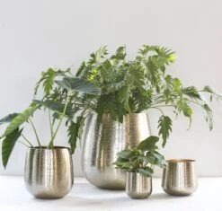 Gina Da - Bloempot - Karakter - Goud - Metaal - 15 Cm Hoog 12 Gina Da - Bloempot - Karakter - Goud - Metaal - 15 Cm Hoog -Tuinbenodigdheden Bevordering 1200x1142 5