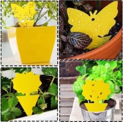 Rouwvliegjes Bestrijden - Fruitvliegjes Vanger - Varenrouwmug Bestrijden - Vliegenvanger - Plak Klavertjes Tegen Rouwvliegen - Vangplaten - 12 Stuks -Tuinbenodigdheden Bevordering 1200x1194 1