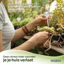 Waterdruppelaar Voor Planten - Irrigatiesysteem- Waterbol - Druppelsysteem - Watergeefsysteem Voor Kamerplanten - Plantenwatergever -6 Stuks - Transparant 12 Waterdruppelaar Voor Planten - Irrigatiesysteem- Waterbol - Druppelsysteem - Watergeefsysteem Voor Kamerplanten - Plantenwatergever -6 Stuks - Transparant -Tuinbenodigdheden Bevordering 1200x1198 23