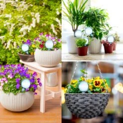 Druppelsysteem 12 Stuks Waterdruppelaar Voor Planten - Waterafgiftesysteem Voor 2 Weken - Beregening Voor Kamerplanten -Tuinbenodigdheden Bevordering 1200x1200 1351