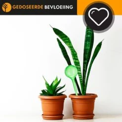 Waterdruppelaar Set Van 6 Stuks Voor Planten – 27 CM – Automatisch Watergeefsysteem Voor Kamerplanten – Planten Watergever Met Druppelsysteem – Waterbol -Tuinbenodigdheden Bevordering 1200x1200 1354