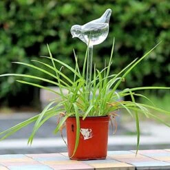 Planten Watergever Glazen Vogel (set Van 2) 7 Planten Watergever Glazen Vogel (set Van 2) -Tuinbenodigdheden Bevordering 1200x1200 1367