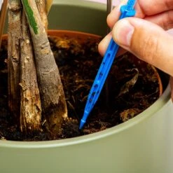 Woonaccessoires- Automatisch Watergeef Systeem | Plantenwaterer - Life Support Irrigatieapparaat | Druppelaar Kamerplanten - | Planten Watergever Met Druppelsysteem 350ml -Tuinbenodigdheden Bevordering 1200x1200 1389