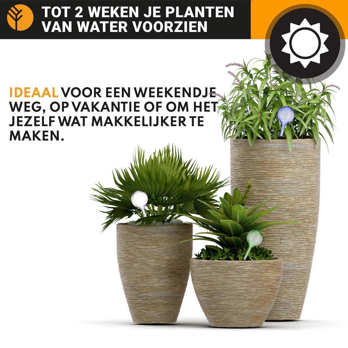 Waterdruppelaar Set Van 6 Stuks Voor Planten Transparant – 27 CM – Automatisch Watergeefsysteem Voor Kamerplanten – Planten Watergever Met Druppelsysteem – Waterbol 5 Waterdruppelaar Set Van 6 Stuks Voor Planten Transparant – 27 CM – Automatisch Watergeefsysteem Voor Kamerplanten – Planten Watergever Met Druppelsysteem – Waterbol - Afbeelding 3