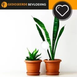 Waterdruppelaar Set Van 6 Stuks Voor Planten Transparant – 27 CM – Automatisch Watergeefsysteem Voor Kamerplanten – Planten Watergever Met Druppelsysteem – Waterbol 10 Waterdruppelaar Set Van 6 Stuks Voor Planten Transparant – 27 CM – Automatisch Watergeefsysteem Voor Kamerplanten – Planten Watergever Met Druppelsysteem – Waterbol -Tuinbenodigdheden Bevordering 1200x1200 1396