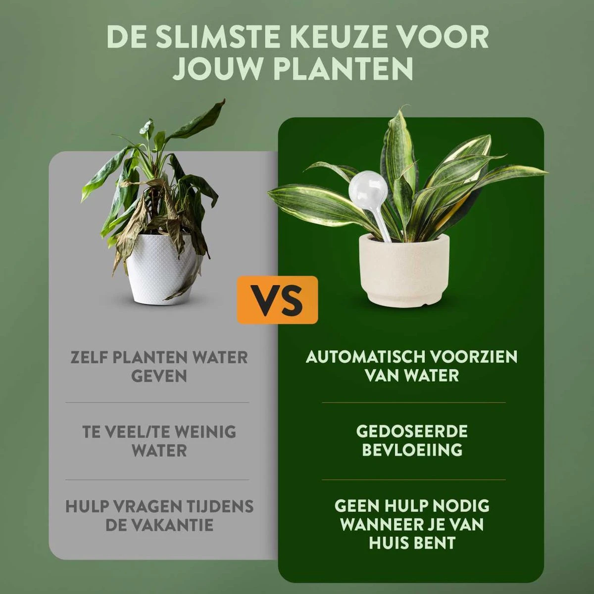 STFF & Co® Waterdruppelaar Voor Planten – Irrigatiesysteem Automatisch Watergeefsysteem – Waterbollen Voor Planten – Bewateringssysteem – 8 Stuks - 5cm 5 STFF & Co® Waterdruppelaar Voor Planten – Irrigatiesysteem Automatisch Watergeefsysteem – Waterbollen Voor Planten – Bewateringssysteem – 8 Stuks - 5cm - Afbeelding 3
