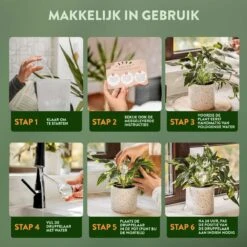 STFF & Co® Waterdruppelaar Voor Planten – Irrigatiesysteem Automatisch Watergeefsysteem – Waterbollen Voor Planten – Bewateringssysteem – 8 Stuks - 5cm 10 STFF & Co® Waterdruppelaar Voor Planten – Irrigatiesysteem Automatisch Watergeefsysteem – Waterbollen Voor Planten – Bewateringssysteem – 8 Stuks - 5cm -Tuinbenodigdheden Bevordering 1200x1200 1400