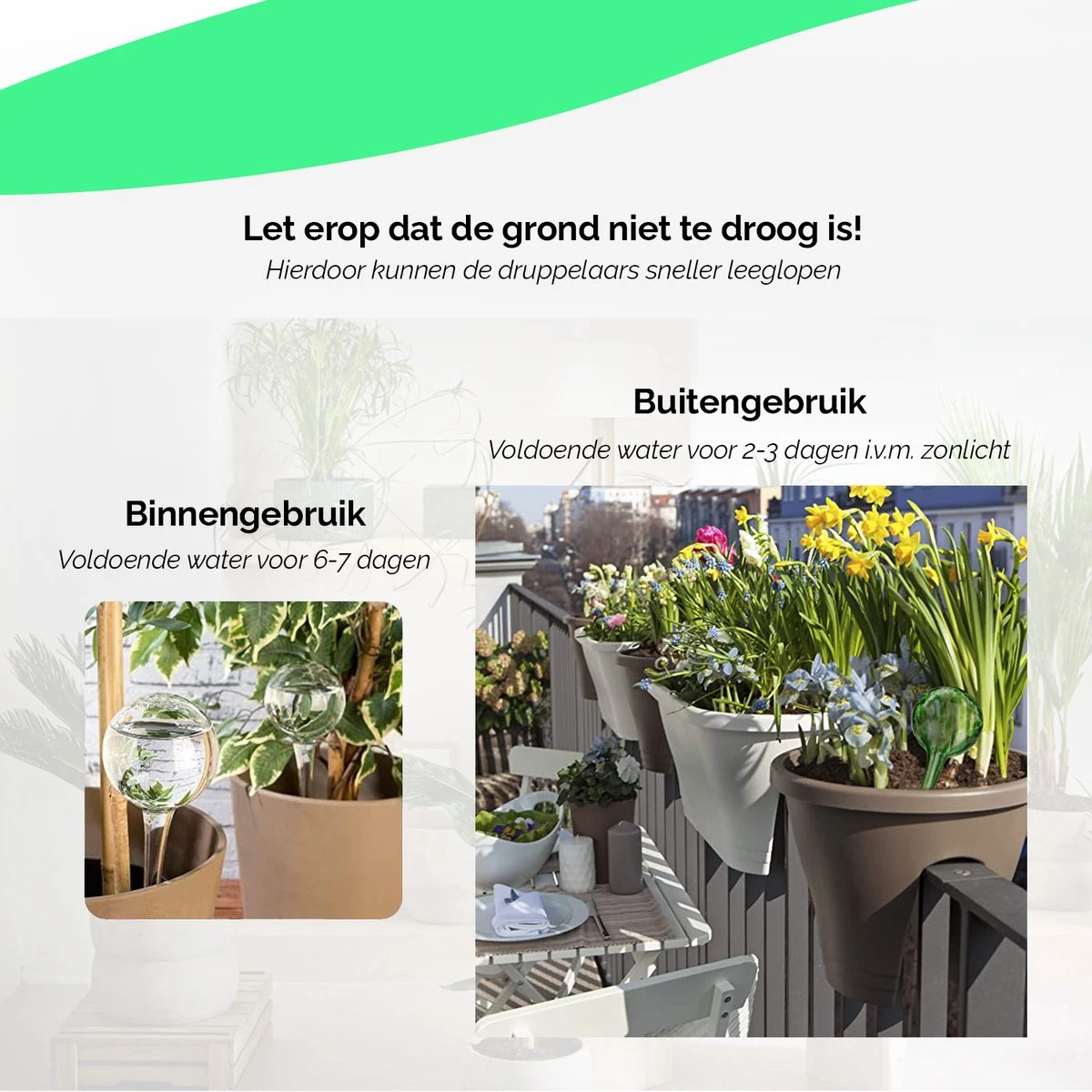 HGMD Waterdruppelaar Set Van 8 Stuks Voor Planten Transparant - Groen - Waterdruppelaar Voor Kamerplanten – Waterbol - Waterdruppelaar Voor Planten - Watergeefsysteem 7 HGMD Waterdruppelaar Set Van 8 Stuks Voor Planten Transparant - Groen - Waterdruppelaar Voor Kamerplanten – Waterbol - Waterdruppelaar Voor Planten - Watergeefsysteem - Afbeelding 5