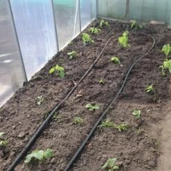 Druppelslang Actiepakket 100 Meter - Leidingshop -Tuinbenodigdheden Bevordering 1200x1200 1412