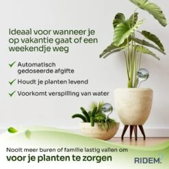 Waterdruppelaar Voor Planten - Irrigatiesysteem- Waterbol - Druppelsysteem - Watergeefsysteem Voor Kamerplanten - Plantenwatergever -6 Stuks - Transparant 17 Waterdruppelaar Voor Planten - Irrigatiesysteem- Waterbol - Druppelsysteem - Watergeefsysteem Voor Kamerplanten - Plantenwatergever -6 Stuks - Transparant -Tuinbenodigdheden Bevordering 1200x1200 1415