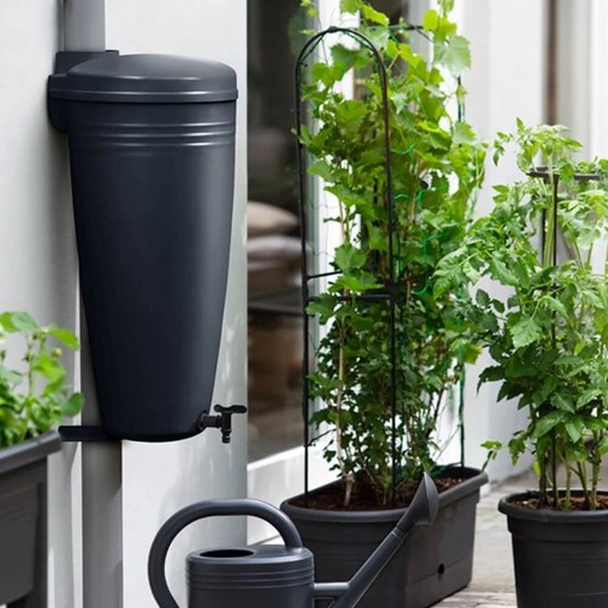 Elho Green Basics Rain Catcher 33 - Regenton Voor Balkonbuiten - Ø 33.5 X H 73.5 Cm - Zwart/Living Black 5 Elho Green Basics Rain Catcher 33 - Regenton Voor Balkonbuiten - Ø 33.5 X H 73.5 Cm - Zwart/Living Black - Afbeelding 3