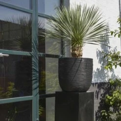 Capi Europe - Bloempot Bol Rib NL - 35x34 - Zwart - Voor Binnen En Buiten - KBLR932 25 Capi Europe - Bloempot Bol Rib NL - 35x34 - Zwart - Voor Binnen En Buiten - KBLR932 -Tuinbenodigdheden Bevordering 1200x1200 1614