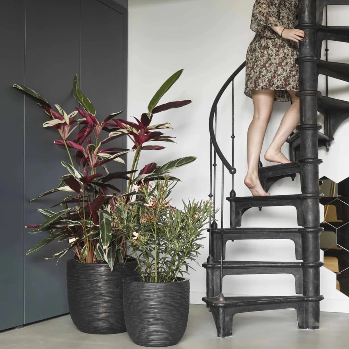 Capi Europe - Bloempot Bol Rib NL - 35x34 - Zwart - Voor Binnen En Buiten - KBLR932 12 Capi Europe - Bloempot Bol Rib NL - 35x34 - Zwart - Voor Binnen En Buiten - KBLR932 - Afbeelding 11