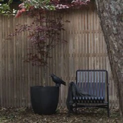 Capi Europe - Bloempot Bol Smooth NL - 35x34 - Zwart - Voor Binnen En Buiten - KBL932 -Tuinbenodigdheden Bevordering 1200x1200 1620