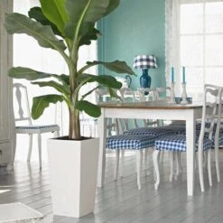 Prosperplast Kunststof Urbi Bloempot/plantenpot Met Binnenpot Wit 32 X 32 X 61 Cm - 21/49 Liter - Hoge Vierkante Bloempotten 26 Prosperplast Kunststof Urbi Bloempot/plantenpot Met Binnenpot Wit 32 X 32 X 61 Cm - 21/49 Liter - Hoge Vierkante Bloempotten -Tuinbenodigdheden Bevordering 1200x1200 1641