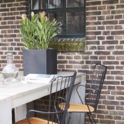 Capi Europe - Bloempot Vierkant Smooth NL - 30x30x30 - Zwart - Voor Binnen En Buiten - KBL902 -Tuinbenodigdheden Bevordering 1200x1200 1646