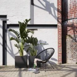 Capi Europe - Bloempot Vierkant Smooth NL - 50x50x50 - Zwart - Voor Binnen En Buiten - KBL904 -Tuinbenodigdheden Bevordering 1200x1200 1653