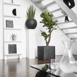 Capi Europe - Bloempot Vierkant Smooth NL - 50x50x50 - Zwart - Voor Binnen En Buiten - KBL904 -Tuinbenodigdheden Bevordering 1200x1200 1660