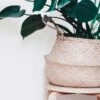 Plantenmand 35x35cm Naturel Extra Groot | Multifunctionele Mand | Handgemaakt | Planten-houder | Planten Accessoires | Planten Mand -Tuinbenodigdheden Bevordering 1200x1200 1667