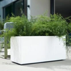 Elho Vivo Matt Finish Lang Wielen 90 - Grote Staande Plantenbak Voor Binnen & Buiten - Gemaakt Van Gereycled Plastic - L 39 X W 88 X H 41 Cm - Wit -Tuinbenodigdheden Bevordering 1200x1200 1695