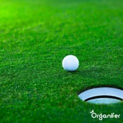 Gazonmest All-In-One (20Kg - Voor 400m2) Voor Een Diepgroen Sterk Gazon Zonder Mos En Onkruid - Complete Meststof Met Kalk En Grasversterker - Organifer 27 Gazonmest All-In-One (20Kg - Voor 400m2) Voor Een Diepgroen Sterk Gazon Zonder Mos En Onkruid - Complete Meststof Met Kalk En Grasversterker - Organifer -Tuinbenodigdheden Bevordering 1200x1200 1736