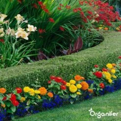 Lavagruis Uit Eifel Oergesteente (20Kg Voor 200m2) Grof Lavameel 0-2mm - Organifer 22 Lavagruis Uit Eifel Oergesteente (20Kg Voor 200m2) Grof Lavameel 0-2mm - Organifer -Tuinbenodigdheden Bevordering 1200x1200 1745