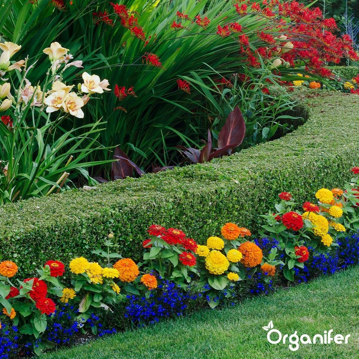 Lavagruis Uit Eifel Oergesteente (20Kg Voor 200m2) Grof Lavameel 0-2mm - Organifer 8 Lavagruis Uit Eifel Oergesteente (20Kg Voor 200m2) Grof Lavameel 0-2mm - Organifer - Afbeelding 6