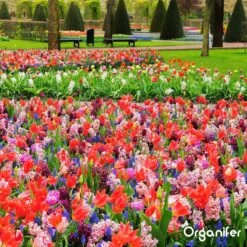Lavagruis Uit Eifel Oergesteente (20Kg Voor 200m2) Grof Lavameel 0-2mm - Organifer 23 Lavagruis Uit Eifel Oergesteente (20Kg Voor 200m2) Grof Lavameel 0-2mm - Organifer -Tuinbenodigdheden Bevordering 1200x1200 1746