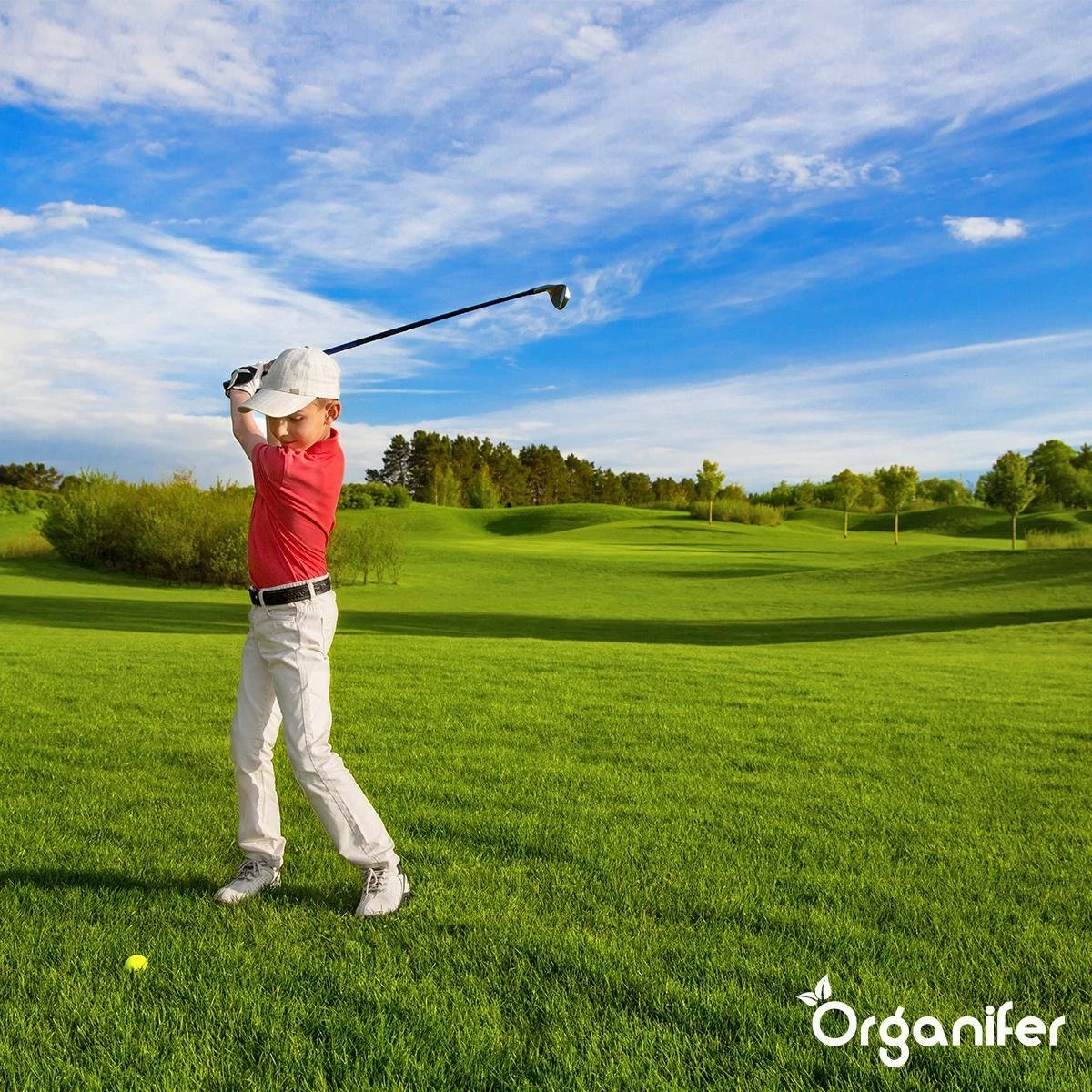 Lavagruis Uit Eifel Oergesteente (20Kg Voor 200m2) Grof Lavameel 0-2mm - Organifer 10 Lavagruis Uit Eifel Oergesteente (20Kg Voor 200m2) Grof Lavameel 0-2mm - Organifer - Afbeelding 8