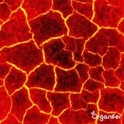 Lavagruis Uit Eifel Oergesteente (20Kg Voor 200m2) Grof Lavameel 0-2mm - Organifer 25 Lavagruis Uit Eifel Oergesteente (20Kg Voor 200m2) Grof Lavameel 0-2mm - Organifer -Tuinbenodigdheden Bevordering 1200x1200 1748