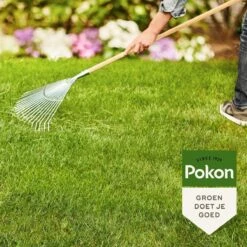 Pokon Gazonmest Met Kalk - 2kg - Mest - Geschikt Voor 30m² - 120 Dagen Voeding -Tuinbenodigdheden Bevordering 1200x1200 1757