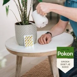 Pokon Bio Kuur Voor Weerbare En Gezonde Kamerplanten - Capsules - 12 Stuks - Geschikt Voor Alle Kamer-, Buitenplanten En Moestuin 9 Pokon Bio Kuur Voor Weerbare En Gezonde Kamerplanten - Capsules - 12 Stuks - Geschikt Voor Alle Kamer-, Buitenplanten En Moestuin -Tuinbenodigdheden Bevordering 1200x1200 1767