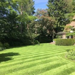 Gazonmest Met Ijzersulfaat Voor 100m²Gras | Gazon Meststof Met Ijzer | Mos Bestrijding & Gras Bemesting In Één | Ideaal Voor Meststofstrooier | Gazonbemesting -Tuinbenodigdheden Bevordering 1200x1200 1771