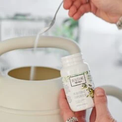 Kamerplanten Voeding Voor Hydrocultuur (Beautanic Superfood) 5 Kamerplanten Voeding Voor Hydrocultuur (Beautanic Superfood) -Tuinbenodigdheden Bevordering 1200x1200 1781