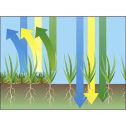 GARDENA EVC 1000 Verticuteermachine - Werkbreedte 30 Cm - Werkgebied 600m2 27 GARDENA EVC 1000 Verticuteermachine - Werkbreedte 30 Cm - Werkgebied 600m2 -Tuinbenodigdheden Bevordering 1200x1200 193