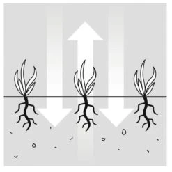 GARDENA EVC 1000 Verticuteermachine - Werkbreedte 30 Cm - Werkgebied 600m2 28 GARDENA EVC 1000 Verticuteermachine - Werkbreedte 30 Cm - Werkgebied 600m2 -Tuinbenodigdheden Bevordering 1200x1200 194