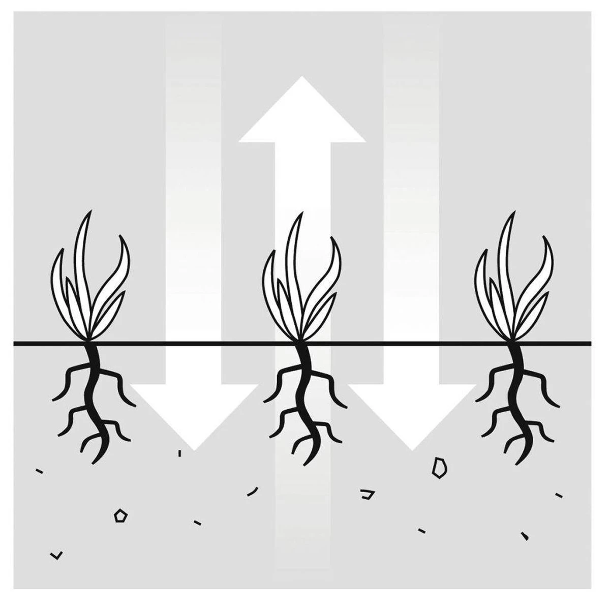 GARDENA EVC 1000 Verticuteermachine - Werkbreedte 30 Cm - Werkgebied 600m2 15 GARDENA EVC 1000 Verticuteermachine - Werkbreedte 30 Cm - Werkgebied 600m2 - Afbeelding 13