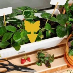 Rouwvliegjes Bestrijden - Fruitvliegjes Vanger - Varenrouwmug Bestrijden - Vliegenvanger - Plak Klavertjes Tegen Rouwvliegen - Vangplaten - 12 Stuks -Tuinbenodigdheden Bevordering 1200x1200 535