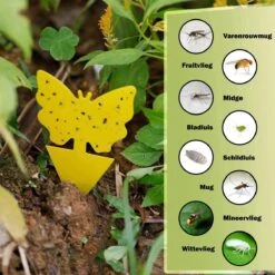 Rouwvliegjes Bestrijden - Fruitvliegjes Vanger - Varenrouwmug Bestrijden - Vliegenvanger - Plak Klavertjes Tegen Rouwvliegen - Vangplaten - 12 Stuks -Tuinbenodigdheden Bevordering 1200x1200 537