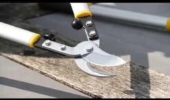 Hendrik Jan - Takkenschaar - Aluminium - Aambeeld - 62 Cm 11 Hendrik Jan - Takkenschaar - Aluminium - Aambeeld - 62 Cm -Tuinbenodigdheden Bevordering 1200x704