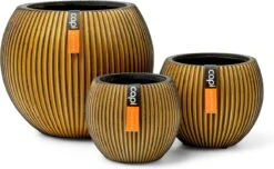Capi Europe - Set Van 3 - Bloempot Binnen - Groove - - Goud - Bloempot Voor Binnen - BOX-BGVGB-3